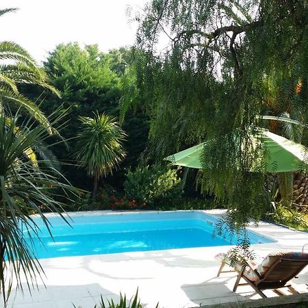 Casa Sestina - Gite Independant Dans Belle Propriete Avec Piscine Villa Canohès Exteriör bild