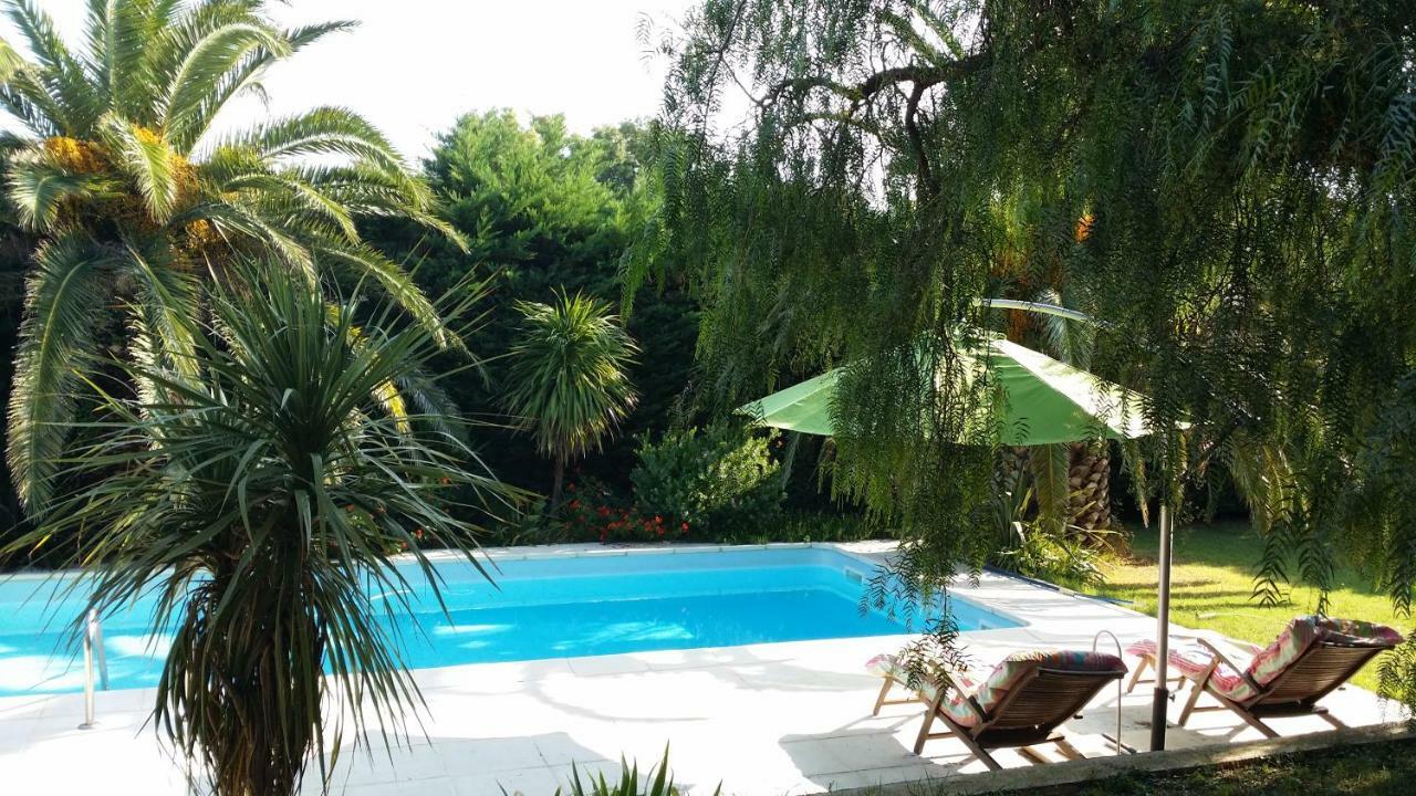 Casa Sestina - Gite Independant Dans Belle Propriete Avec Piscine Villa Canohès Exteriör bild